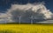 Wind electro-turbines on the field, Europe