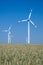 Wind energy turbines in a grainfield
