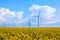 Wind energy turbines on yellow field