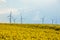 Wind energy turbines on yellow field