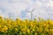 Wind energy turbines on yellow field