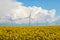 Wind energy turbines on yellow field