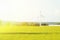 Wind engines. Energy. Beautiful meadow of yellow color. Farm.