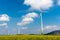 Wind engines in a rapeseed field