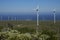 Wind farm on the coast of Chile