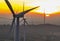 Wind farm field and sunset sky. Wind power. Sustainable, renewable energy. Wind turbines generate electricity. Sustainable
