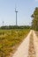 Wind farm, forest and dirty road in Aljezur