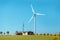 wind farm for generating environmentally friendly electricity is installed on an agricultural farm