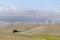 Wind farm in Livermore Golden Hill in California