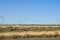 Wind farm on the plain from the route