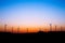 Wind farm silhouette in sunset light.