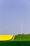 Wind farm with spinning wind turbine