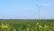 Wind farm in a spring field
