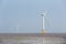 Wind farm on tidal flat wetland