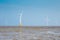 Wind farm on tidal flat wetland