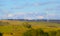 Wind farm turbine on blue sky background. Yellow autumn field. Farm, horse, cows.