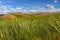 Wind farm turbines white on hill contrast green grass and blue sky, usa