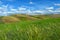 Wind farm turbines white on hill contrast green grass and blue sky, wa