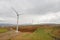 Wind farm with wind turbines for generation green energy