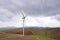 Wind farm with wind turbines for generation green energy