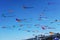 Wind festival at Bondi beach, Sydney, Australia on 10 September 2017. Colorful kites in the sky as famous event at Bondi beach, Sy