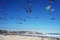 Wind festival at Bondi beach, Sydney, Australia on 10 September 2017. Colorful kites in the sky as famous event at Bondi beach, Sy