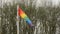 Wind flag in rainbow colours