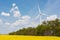 Wind generator and blooming canola field, the concept of clean renewable energy, against a blue sky