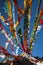 Wind horse ï¼Œthe Tibetan prayer flag in early morning