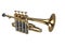 Wind Instrument