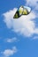 Wind kite on a blue sky