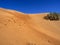 The wind makes the sand of the Omani desert a beautiful formation, Oman