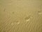 Wind marks in the sand on a beach by the sea