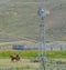 This wind mill is pumping water for horses on this farm in Colorado.