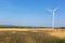 Wind mills in a cornfield