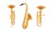 Wind Musical Instrument with Mouthpiece for Blowing Vector Set