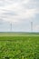 Wind park with several modern renewable energy wind turbines, agricultural field in the front, cloudy day, landscape, vertical