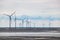 Wind power farm in coastal mud flat