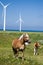 Wind power horses.