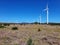 Wind power in Madeira Island