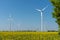 Wind power plants in a field of blooming oilseed