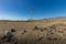 Wind power stations. A row of turbines near the seashore. Wind farm eco field. Eolic park with blue sky in background. Green,