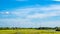 Wind power - wind turbines for alternative green energy generation in rural landscape on summer day with blue sky and white clouds