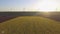 Wind-Powered Electrical Generators at Rapeseed Field. Aerial view