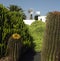 Wind Pump in a Cactus Garden - Fuerteventura