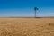 Wind Pump in a Wheat Field