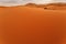 Wind rippled sand dune and oasis Sahara Morocco