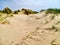 Wind Riven Sand Dunes, Black Rock Sands