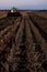 Wind rowing potatoes at night during an Idaho potato harvest.