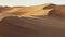 Wind and sand dunes in desert